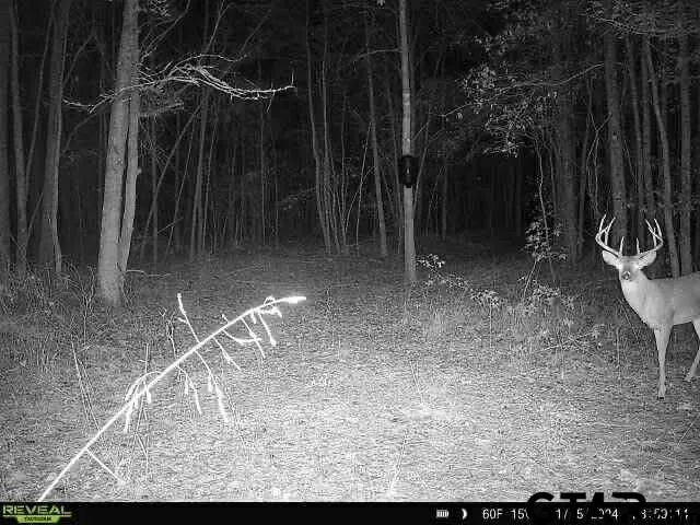 $598,500 | 0 Highway 84 Mount, Mount Enterprise, TX 75681