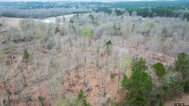 a view of a dry yard