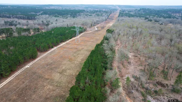 a view of a pathway both side of yard