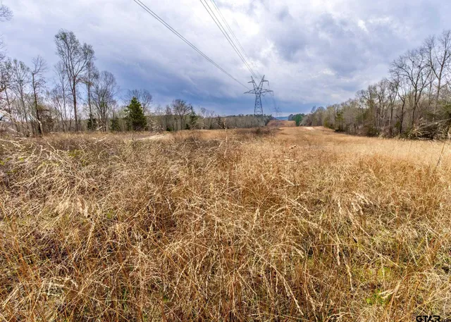 a view of a yard with mountain and trees