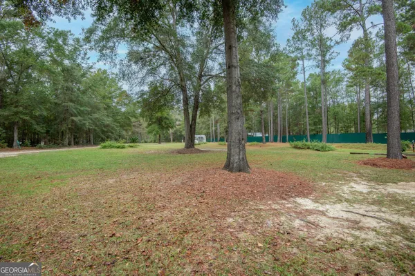 a view of a trees in a park
