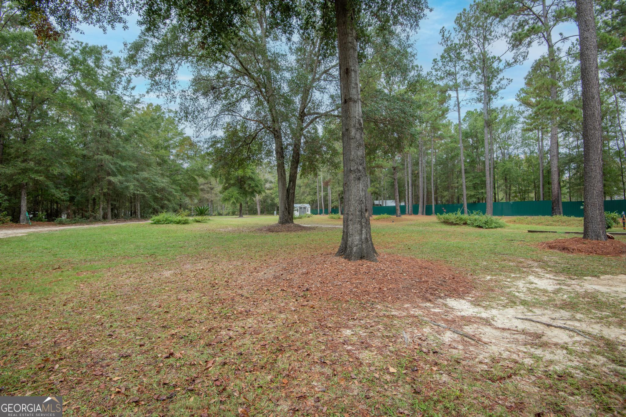 363 Dover Road Sylvania, GA 30467 - Photo 23 of 27 a view of a trees in a park