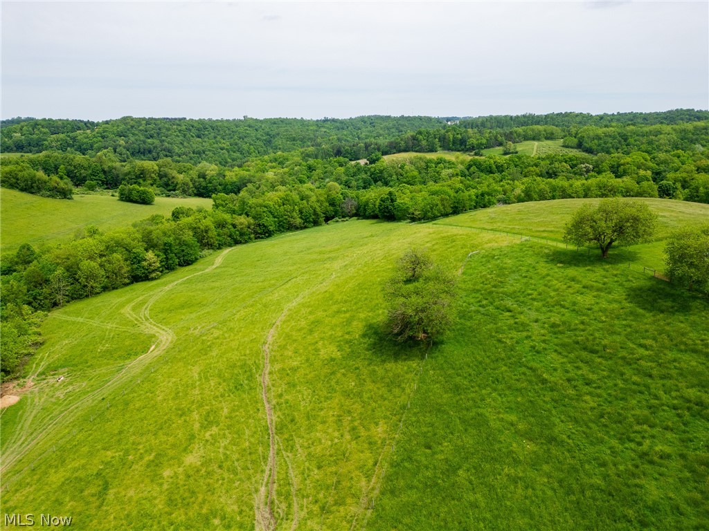 407 County Road Millersburg, OH 44654 - Photo 4 of 48