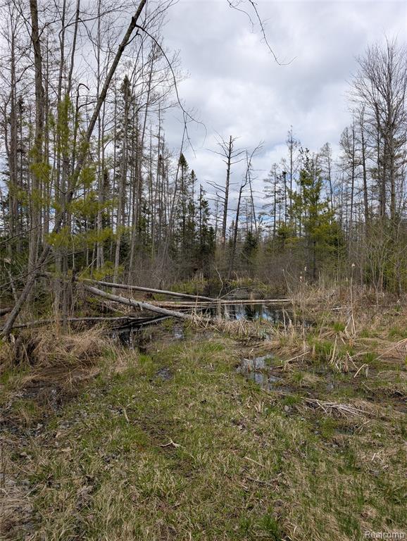 2889 Mill Station Road Hale, MI 48739 - Photo 32 of 33