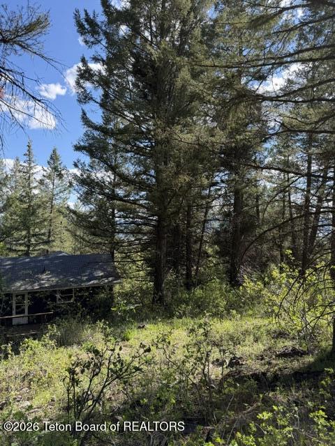 77 Redwood Road Star Valley Ranch, WY 83127 - Photo 3 of 8 IMG_4747