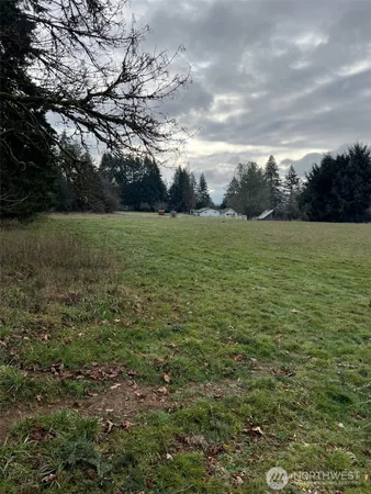 a big yard with lots of green space