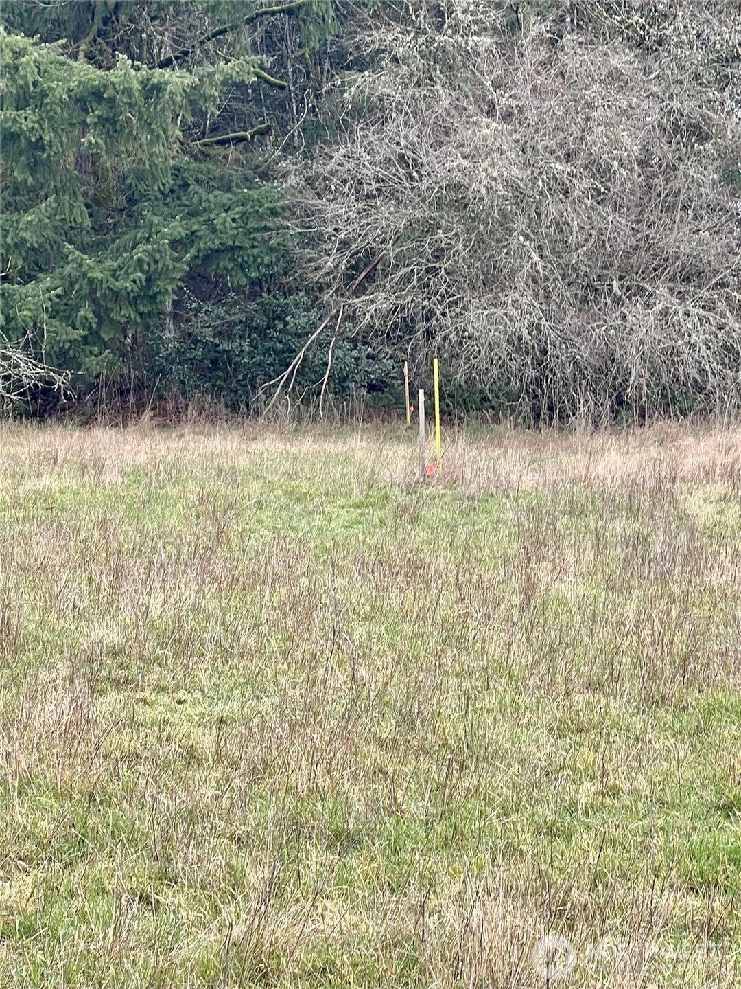 1 Northeast Jabez Street Winlock, WA 98596 - Photo 2 of 4