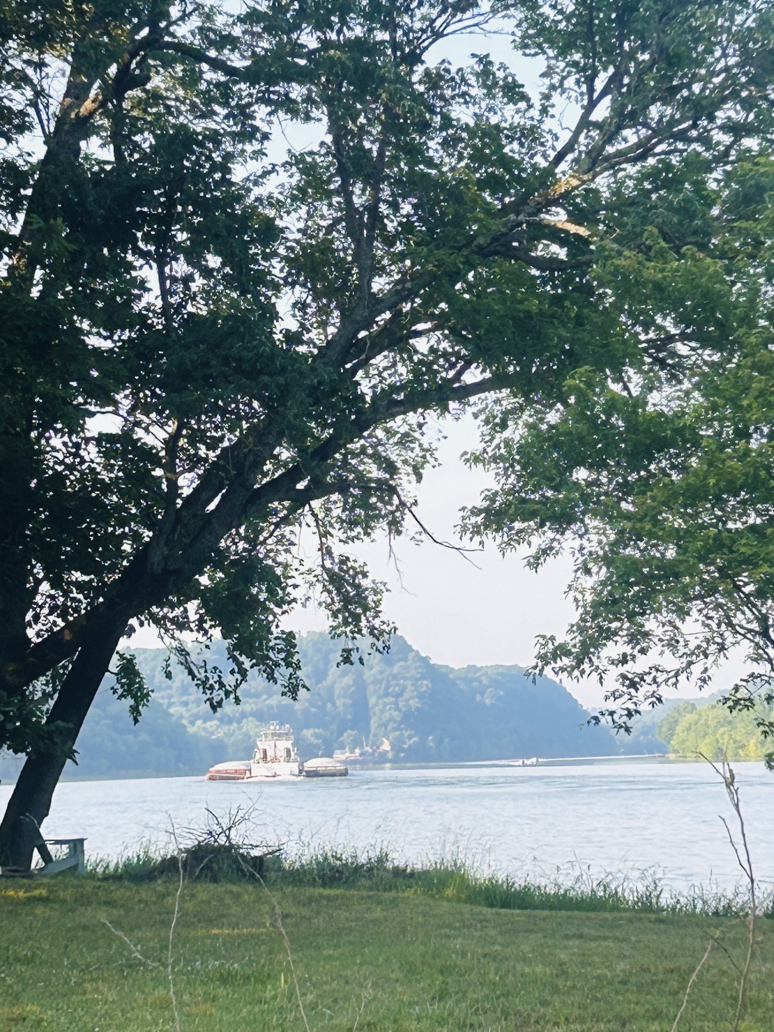 1 Kelly Landing Road Linden, TN 37096 - Photo 15 of 15