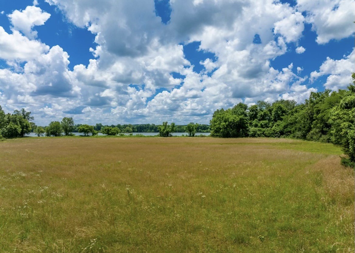 1 Kelly Landing Road Linden, TN 37096 - Photo 5 of 15