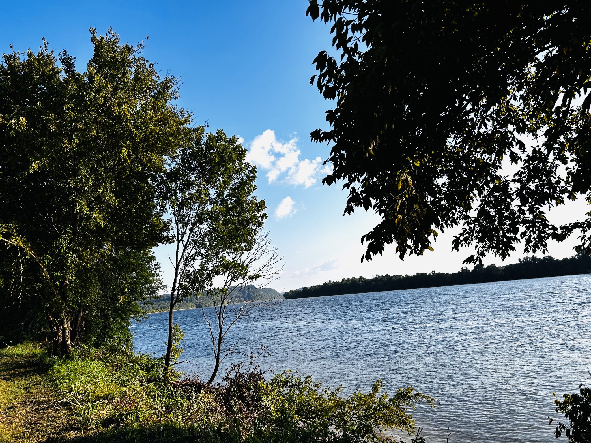 1 Kelly Landing Road Linden, TN 37096 - Photo 8 of 15