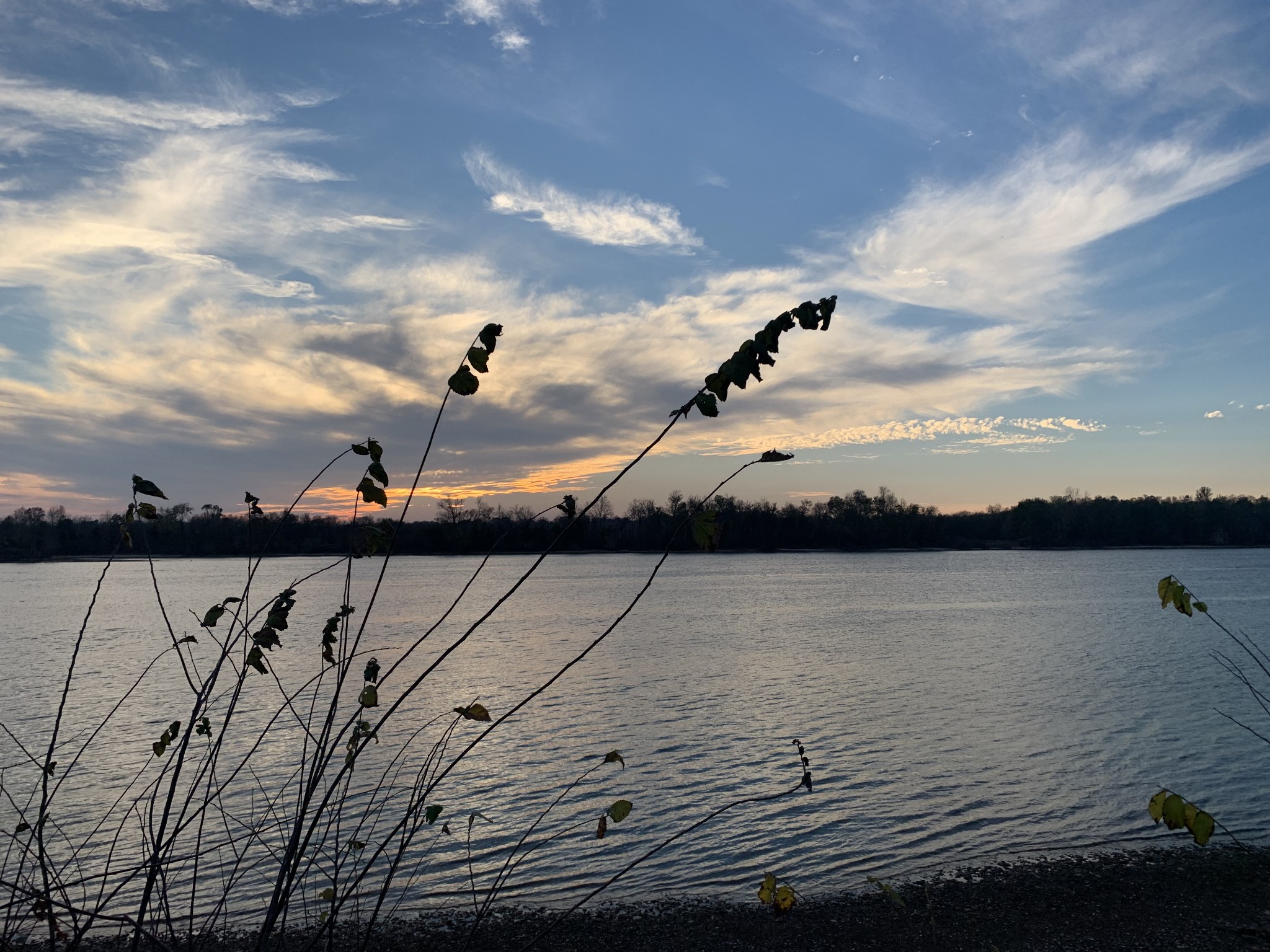 1 Kelly Landing Road Linden, TN 37096 - Photo 9 of 15