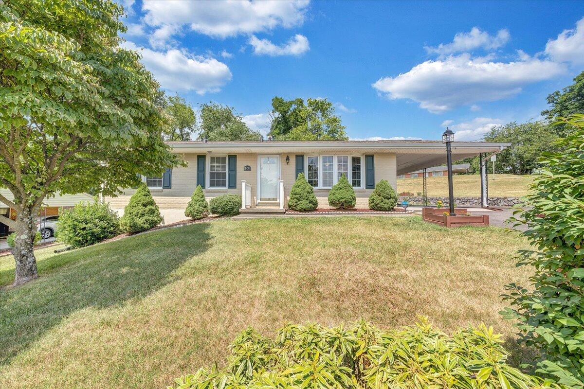 501 Olney Road Vinton, VA 24179 - Photo 44 of 49 a front view of house with yard and green space