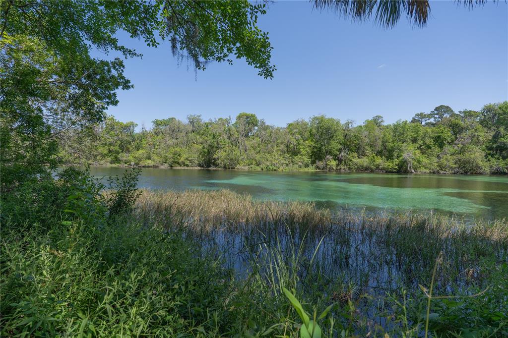 8873 Southwest 200th Circle Dunnellon, FL 34431 - Photo 55 of 61 a view of a lake view with a garden