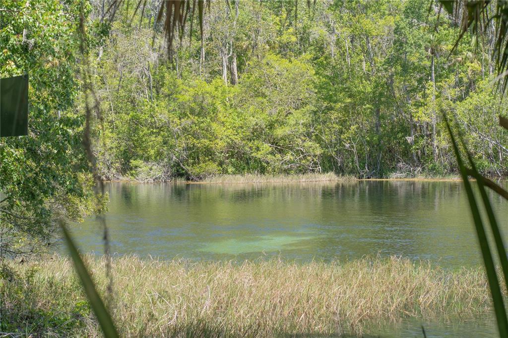 8873 Southwest 200th Circle Dunnellon, FL 34431 - Photo 57 of 61