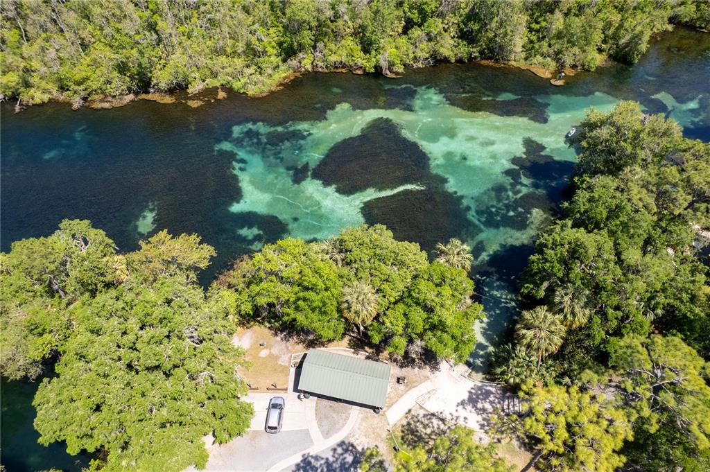 8873 Southwest 200th Circle Dunnellon, FL 34431 - Photo 59 of 61