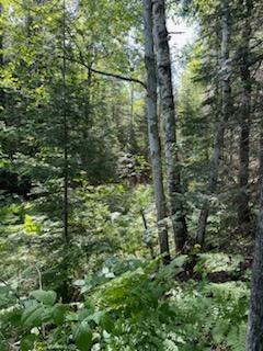 51 Highway 51, Unit LT4 Harshaw, WI 54529 - Photo 6 of 7 Pic 4