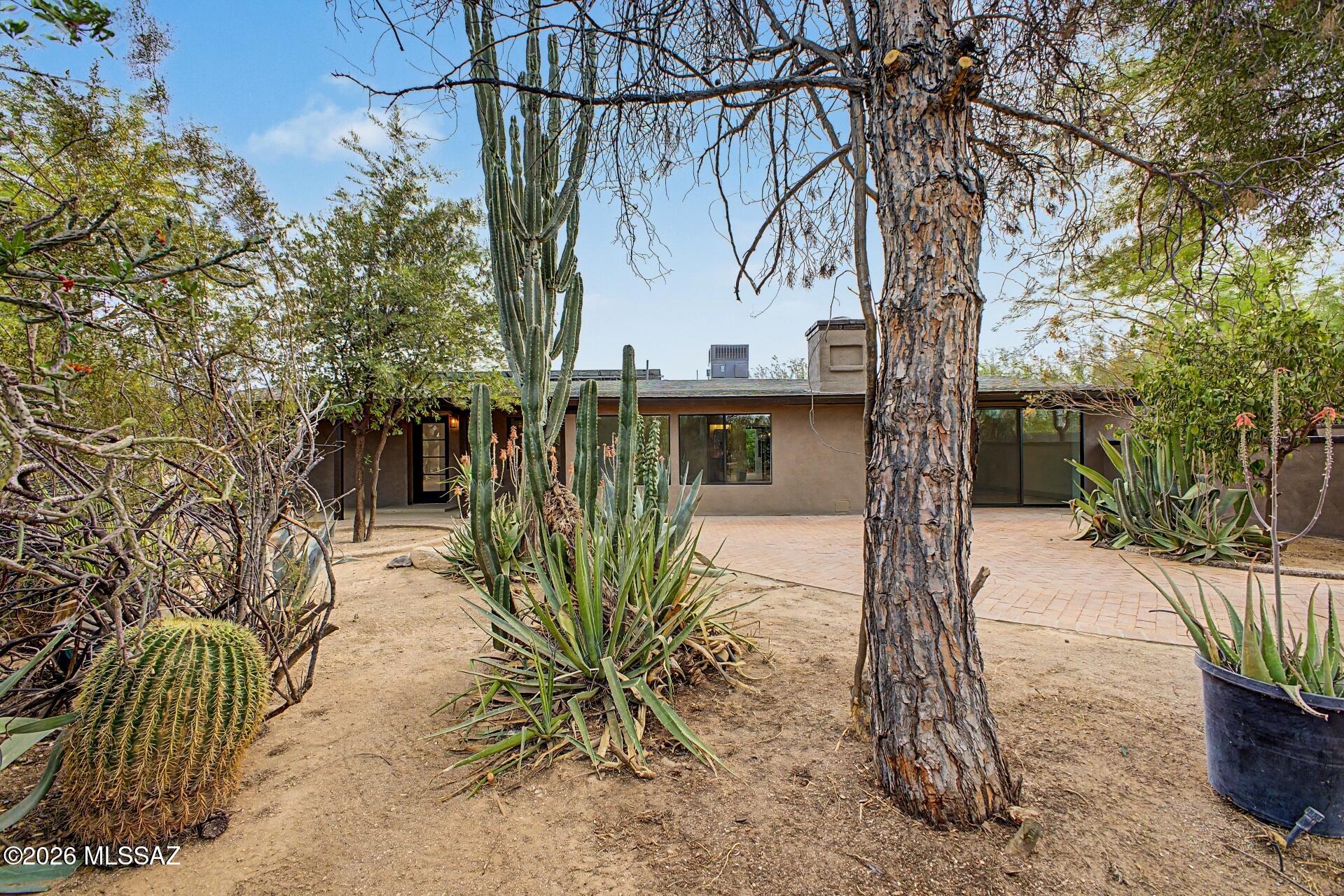 1514 East Lind Road Tucson, AZ 85719 - Photo 4 of 51