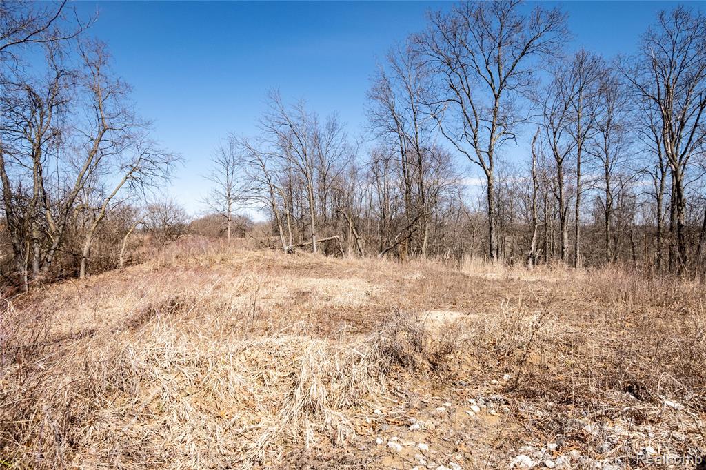 4949 West Beard Road Perry, MI 48872 - Photo 8 of 9