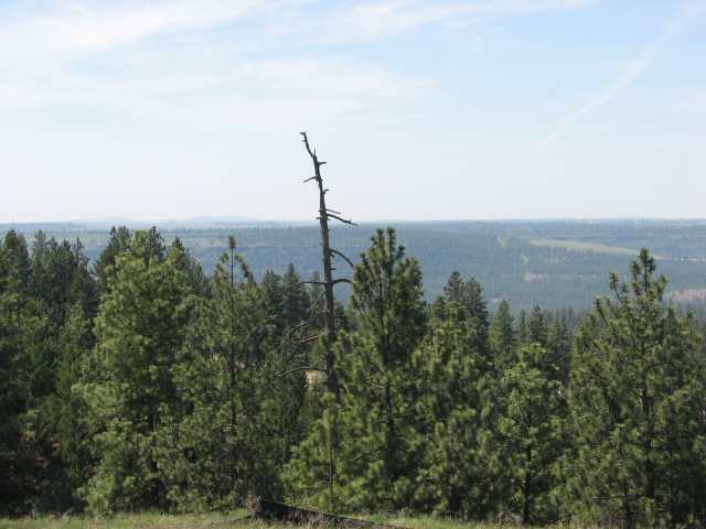 9205 North K Court, Unit FALCON RIDGE 2ND ADDITION Spokane, WA 99208 - Photo 3 of 7 Gallery Image 3