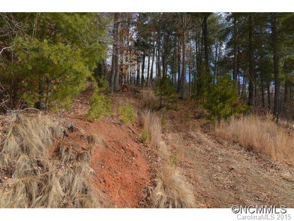 0 Higgins Br Road Mars Hill, NC 28754 - Photo 2 of 5