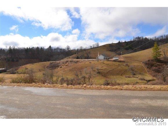 0 Higgins Br Road Mars Hill, NC 28754 - Photo 3 of 5