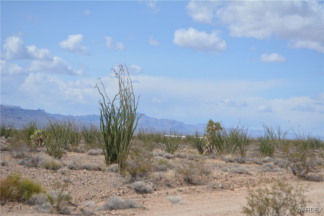 245-24-107 South Rainbow Road Yucca, AZ 86438 - Photo 77 of 91