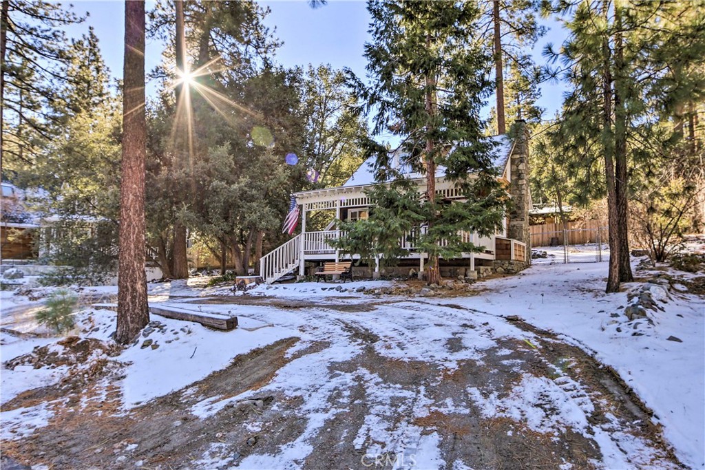 1069 Eagle Road Wrightwood, CA 92397 - Photo 24 of 24 a view of a yard with plants and trees