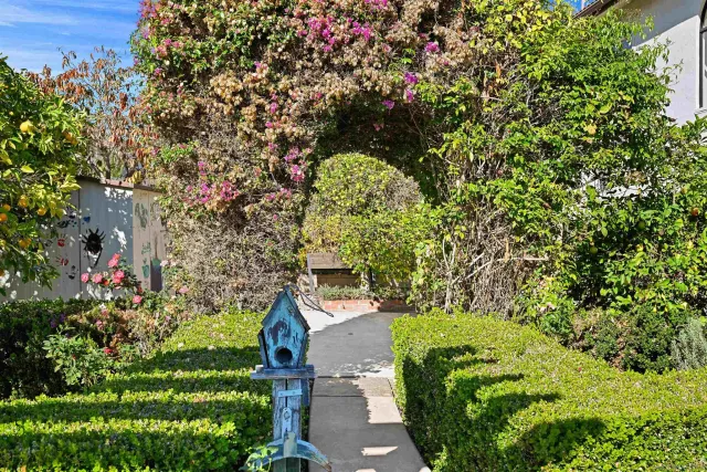 a view of a garden with plants