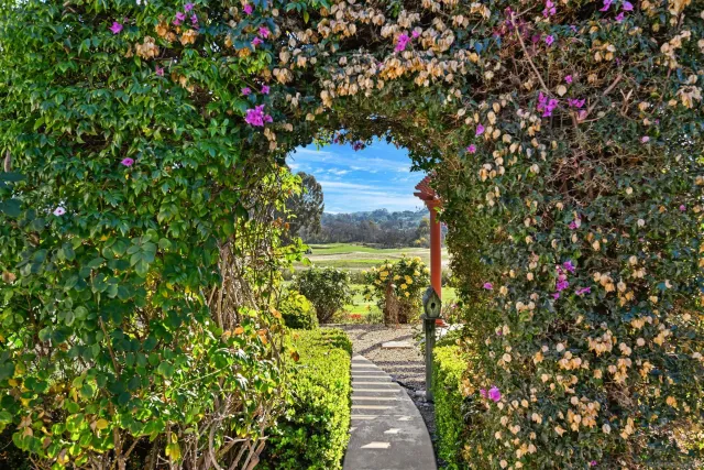 a view of a potted plant sitting in front of a house