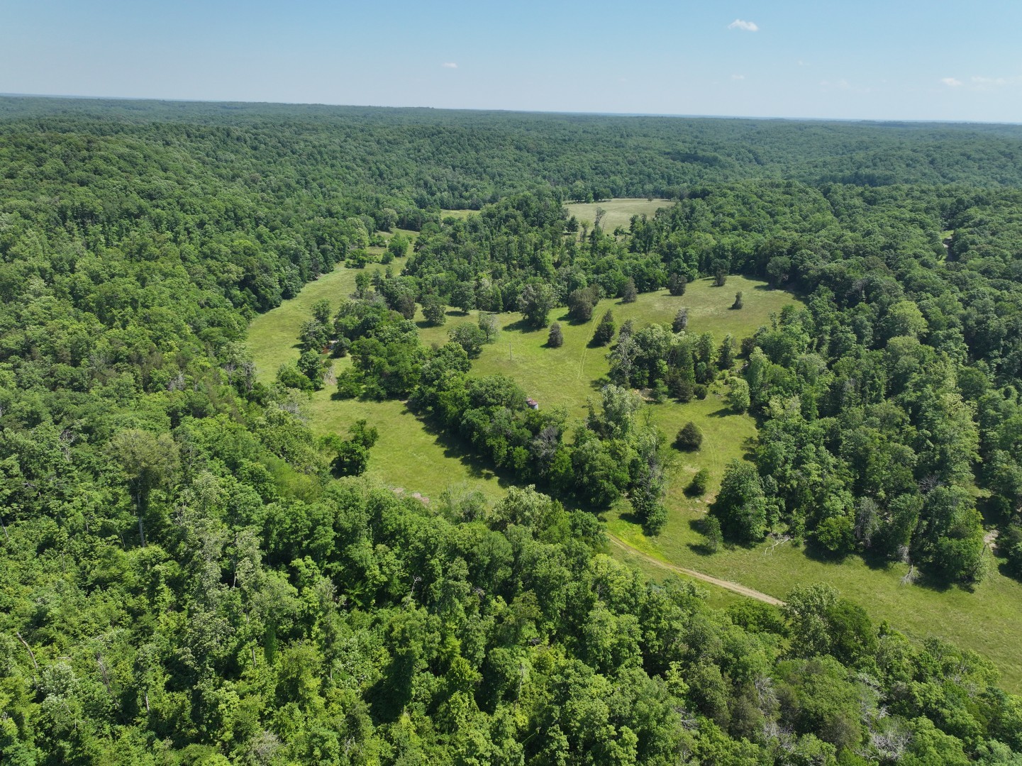 110 Wade Reed Road White Bluff, TN 37187 - Photo 30 of 80