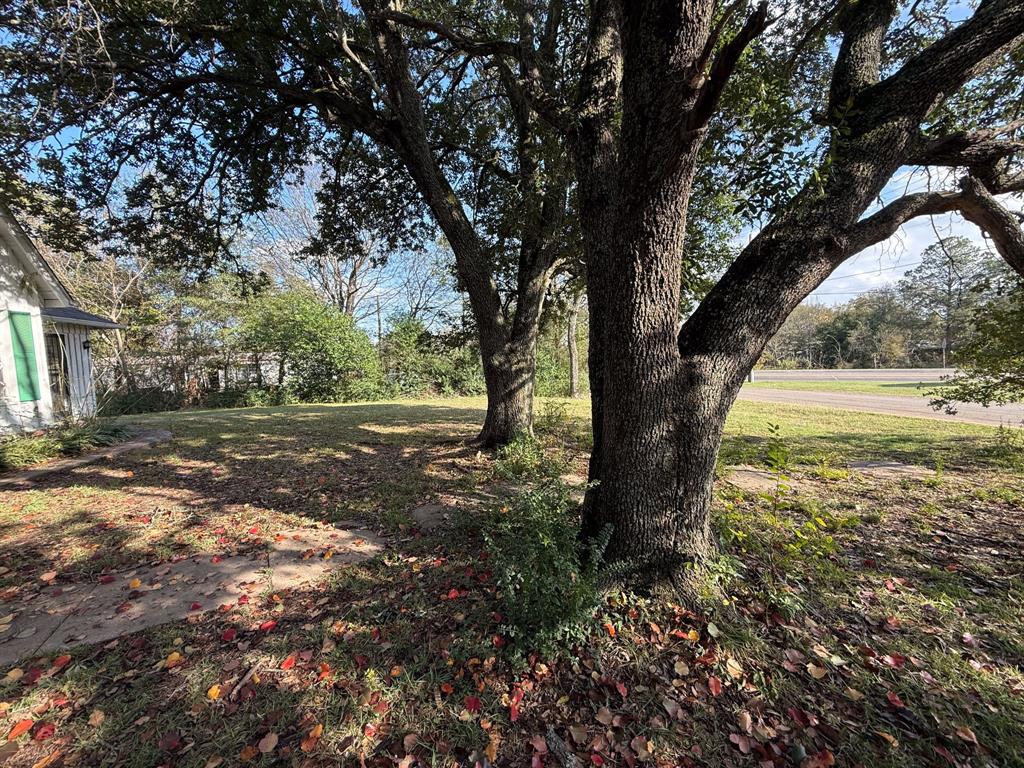 100 Smith Street Naples, TX 75568 - Photo 29 of 30 a view of outdoor space with trees