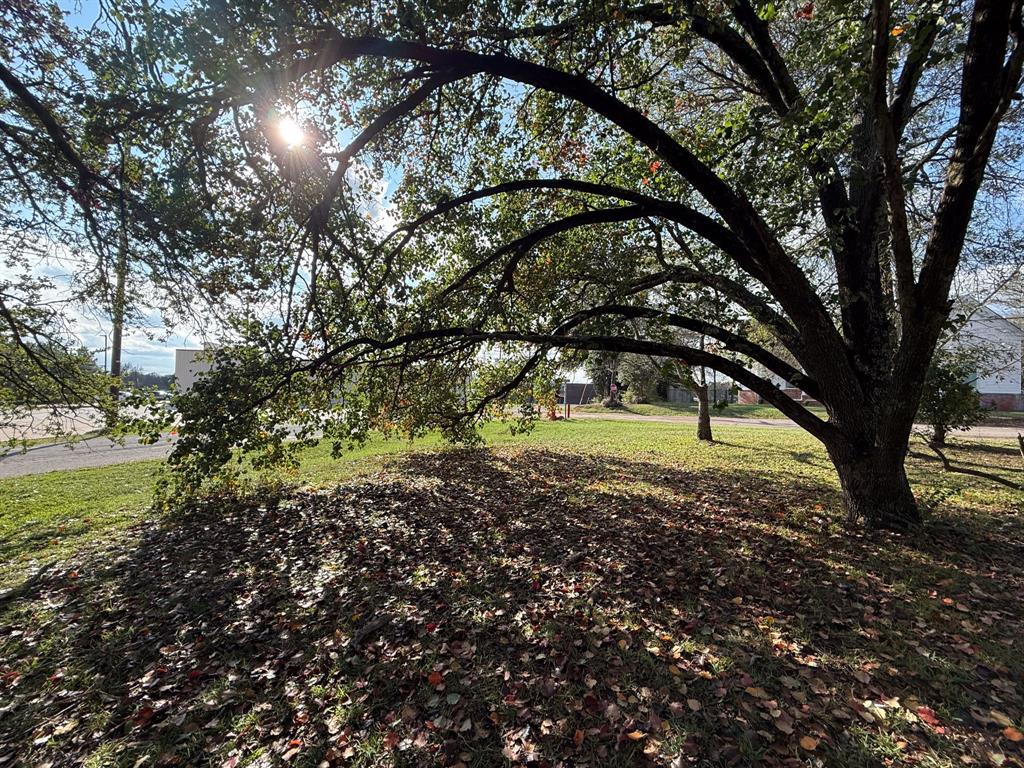 100 Smith Street Naples, TX 75568 - Photo 30 of 30 a view of outdoor space with deck and tree