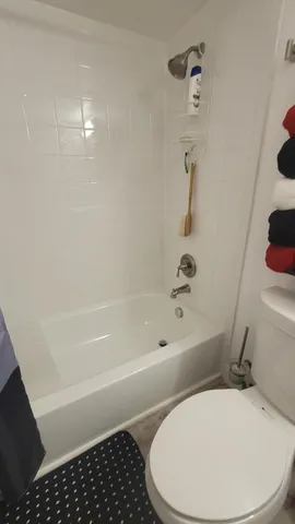 a bathroom with a toilet and a bathtub