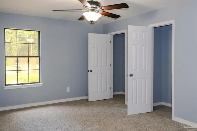 a view of a backyard with plants