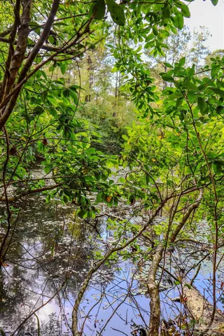 $445,000 | 111 Cotton Creek Road, McDavid, FL 32568