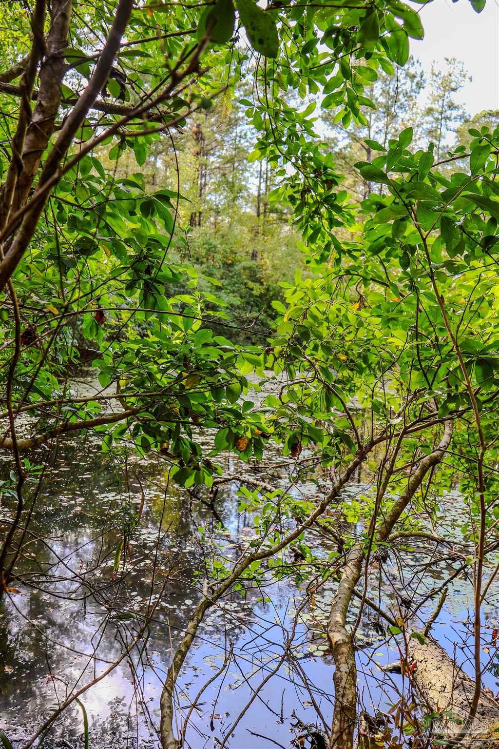 111 Cotton Creek Road McDavid, FL 32568 - Photo 24 of 30