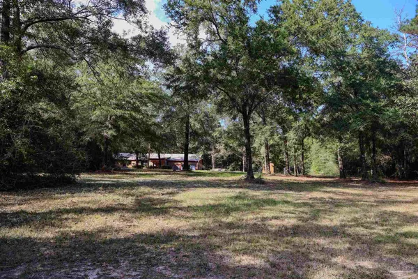 a view of outdoor space with trees
