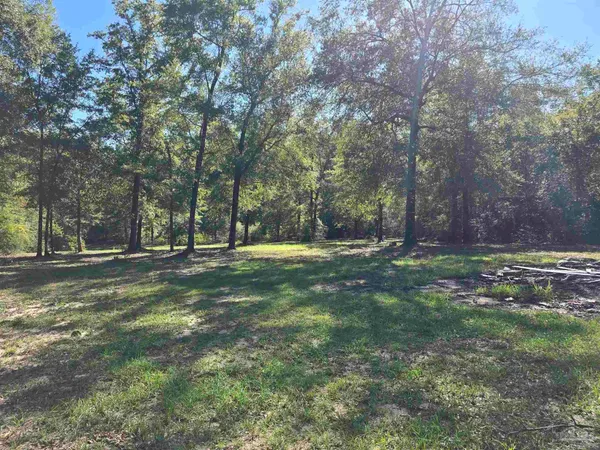 a view of a park that has large trees