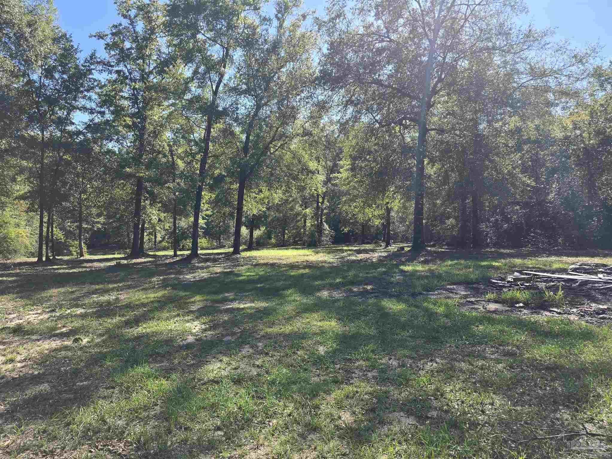 111 Cotton Creek Road McDavid, FL 32568 - Photo 26 of 30 a view of a park that has large trees