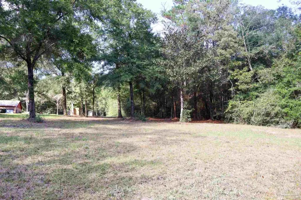 a view of outdoor space with trees