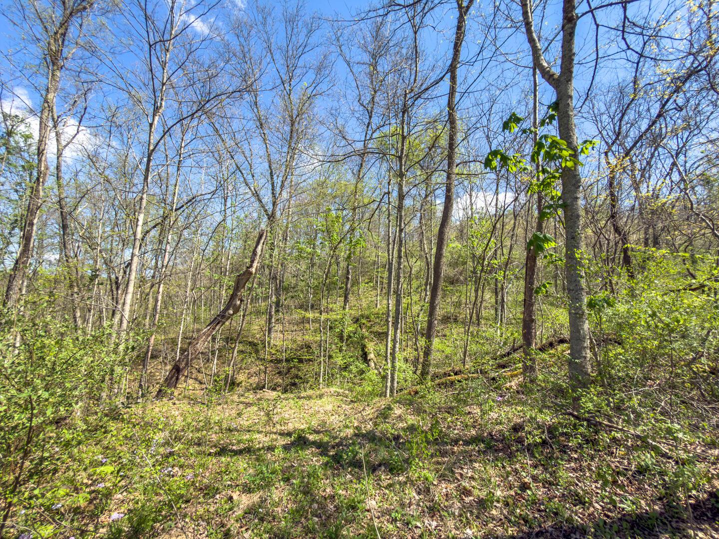 5235 Pounds Road Glouster, OH 45732 - Photo 19 of 28