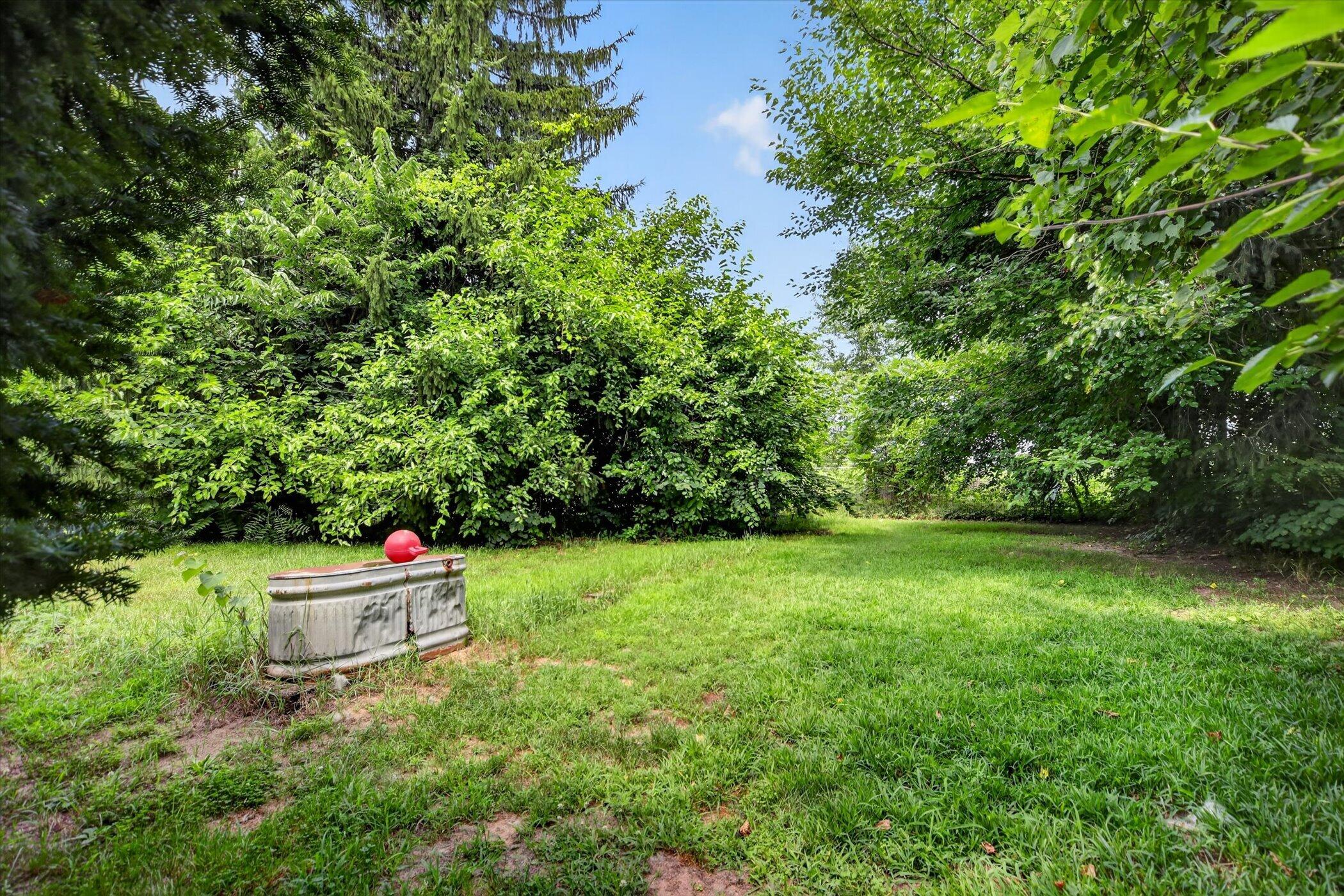 40516 County Road 669 Decatur, MI 49045 - Photo 33 of 46 backyard