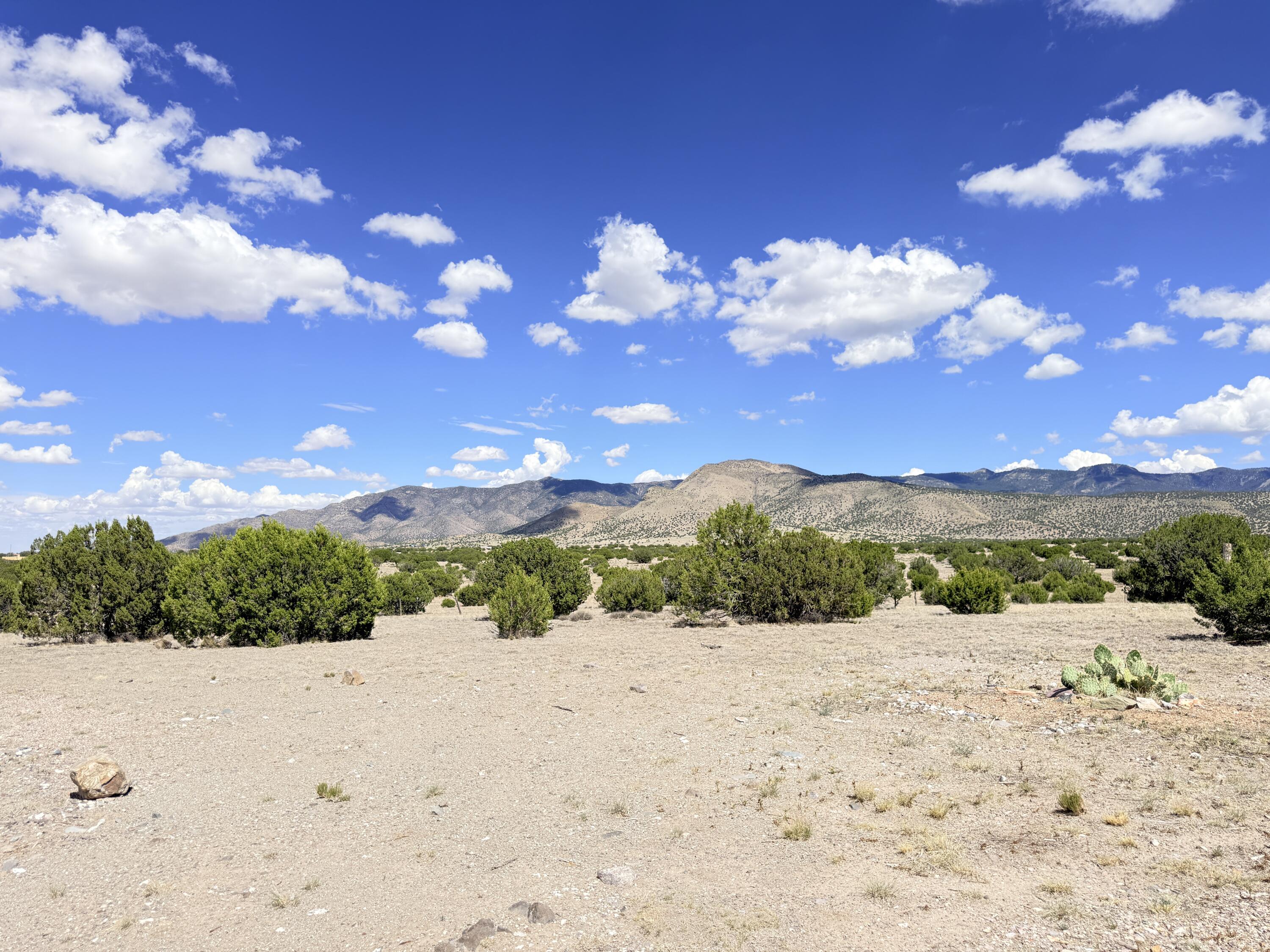 32 Brahman Road Magdalena, NM 87825 - Photo 43 of 59 Gallery Image 43