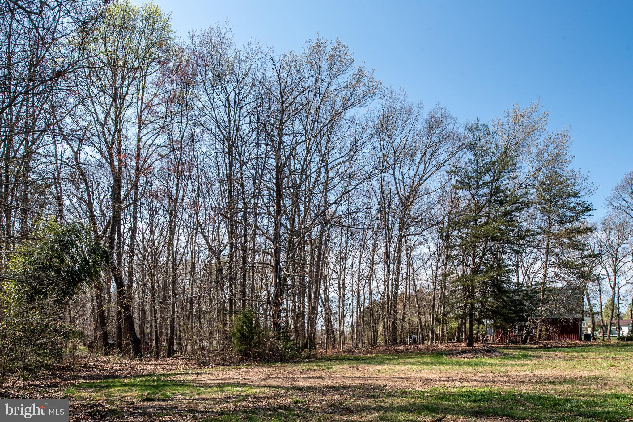 10084 Tower Road Unionville, VA 22567 - Photo 24 of 30 Gallery Image 24
