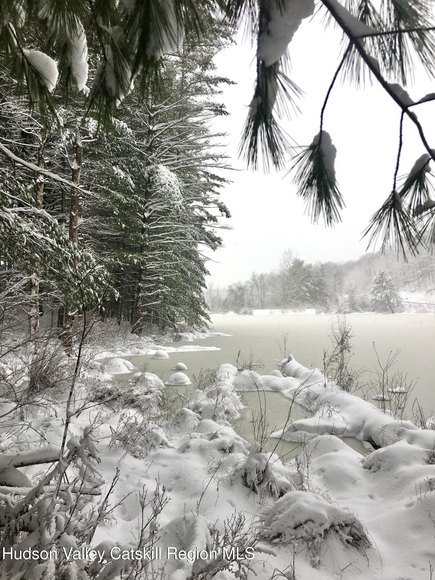 177 Webber Road Earlton, NY 12058 - Photo 44 of 50 a view of lake with a tree