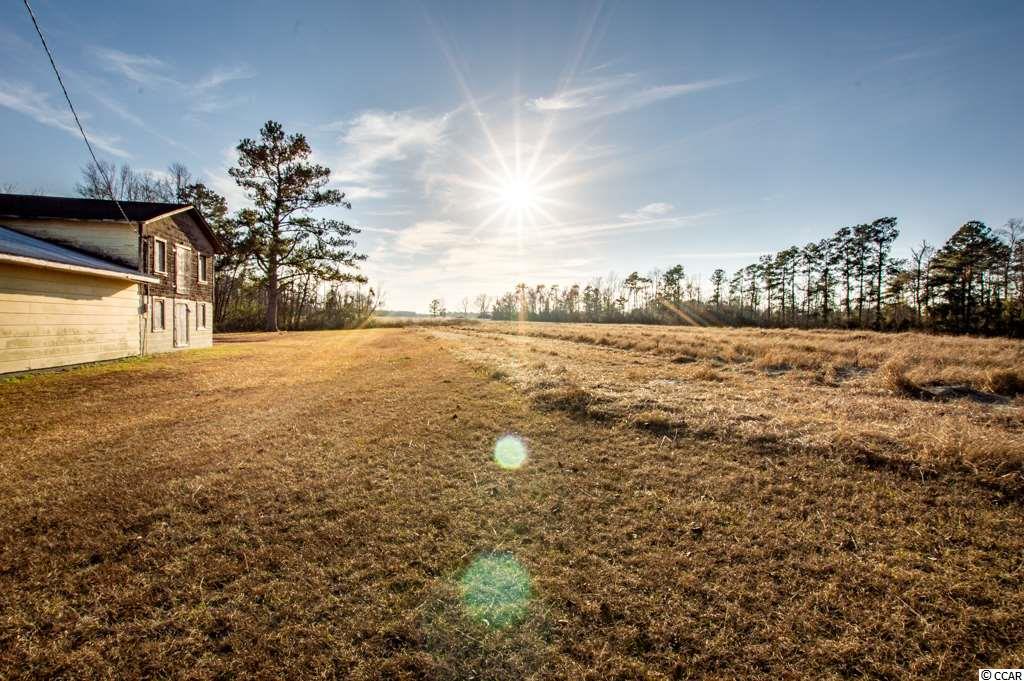 Tbd Coats Road Loris, SC 29569 - Photo 2 of 9 Gallery Image 2