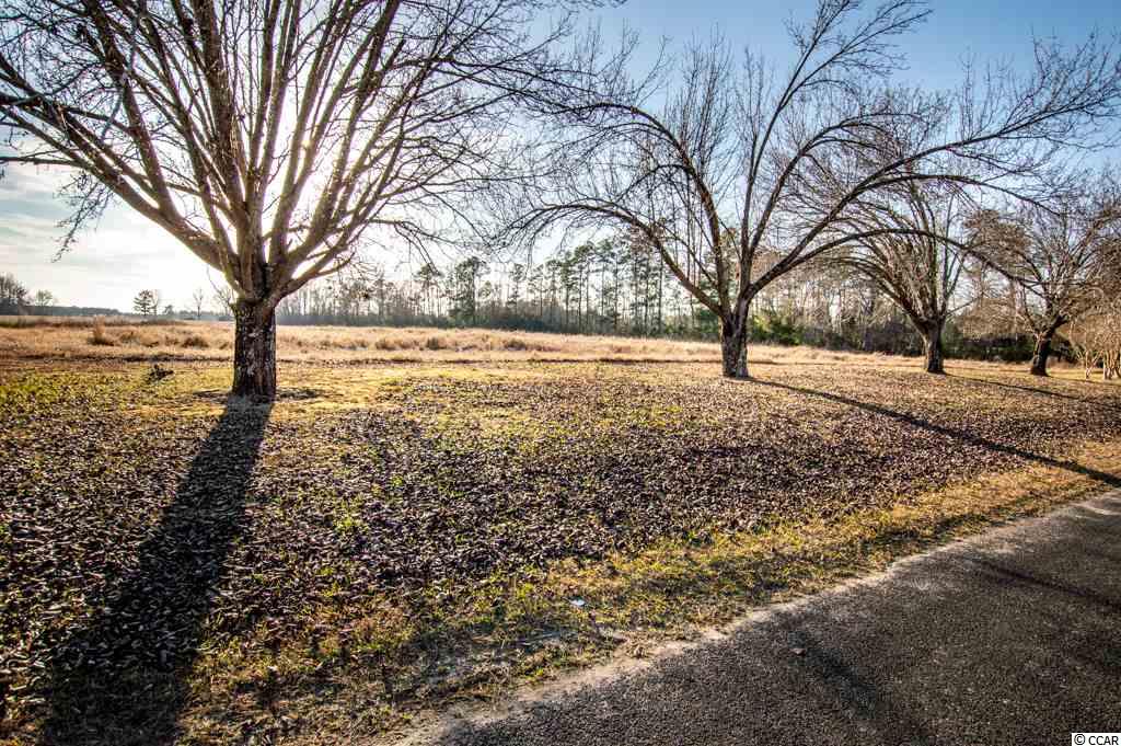 Tbd Coats Road Loris, SC 29569 - Photo 6 of 9 Gallery Image 6