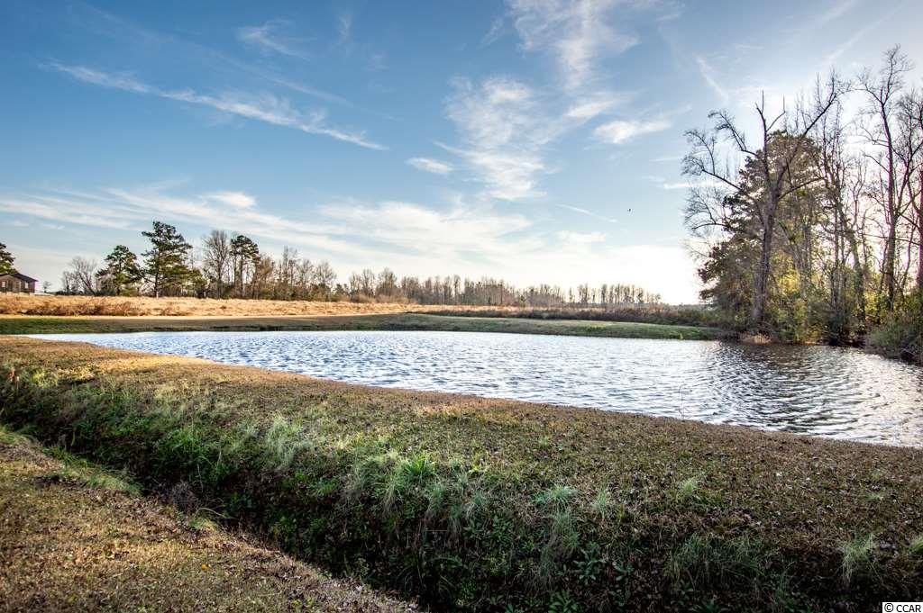 Tbd Coats Road Loris, SC 29569 - Photo 7 of 9 Gallery Image 7
