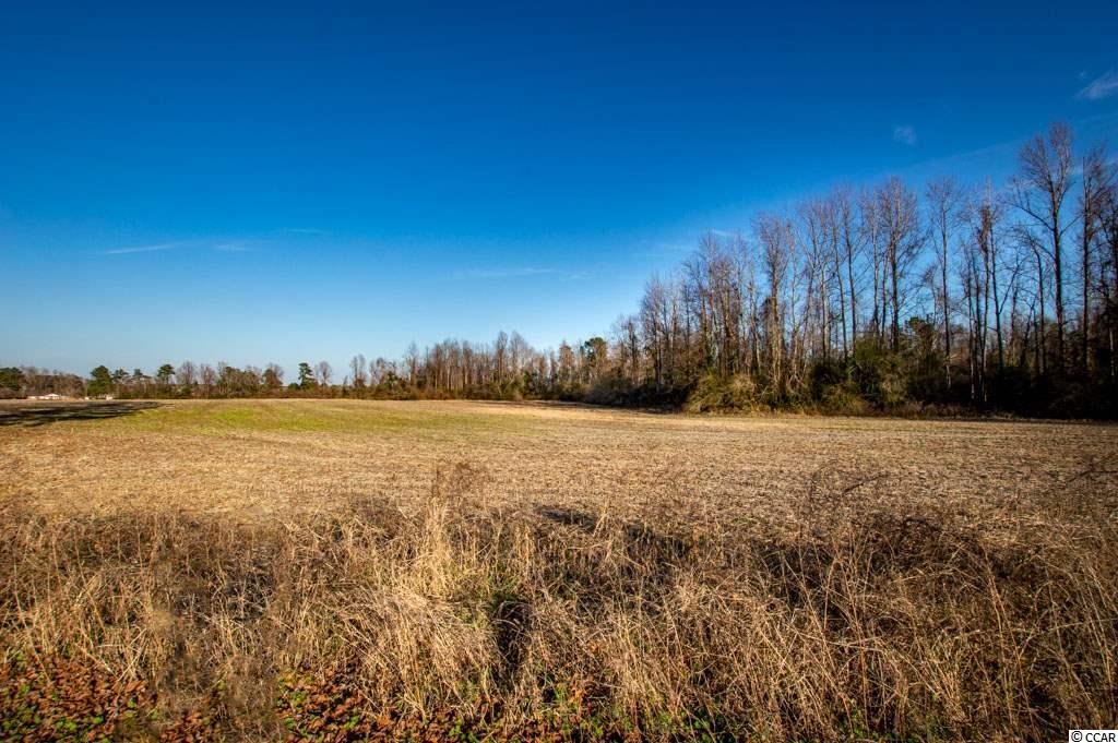 Tbd Coats Road Loris, SC 29569 - Photo 8 of 9 Gallery Image 8