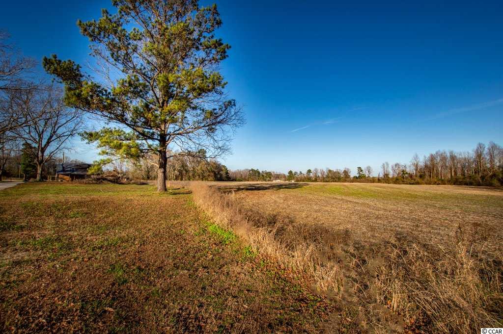 Tbd Coats Road Loris, SC 29569 - Photo 9 of 9 Gallery Image 9